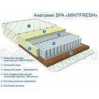    Spa Mintfresh 120x60