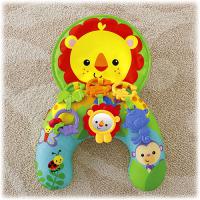        Fisher Price Y6593