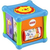    Fisher Price BFH80