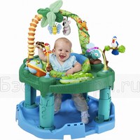 -  Evenflo ExerSaucer 6231883