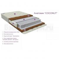    Coconut 125x6512