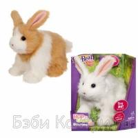 Fur Real Friends   Hasbro 36122H